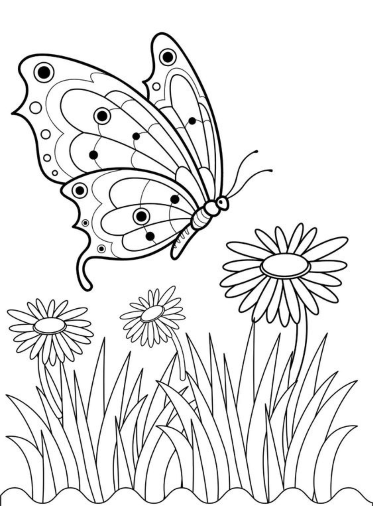 Desenho para Colorir Borboleta