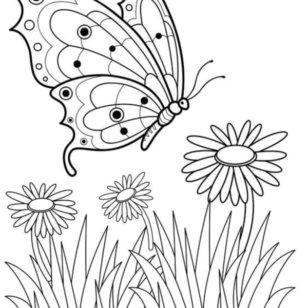 Desenho para Colorir Borboleta