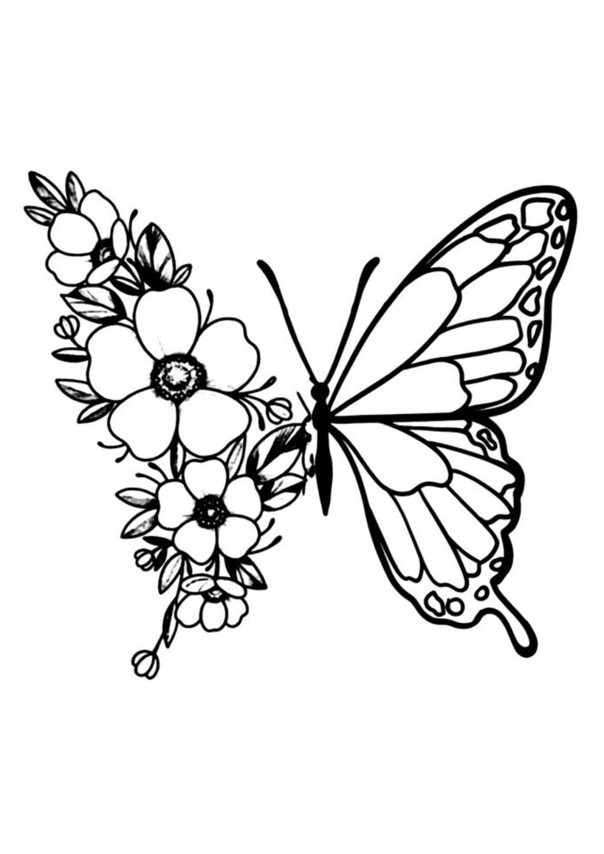 Desenho para Colorir Borboleta