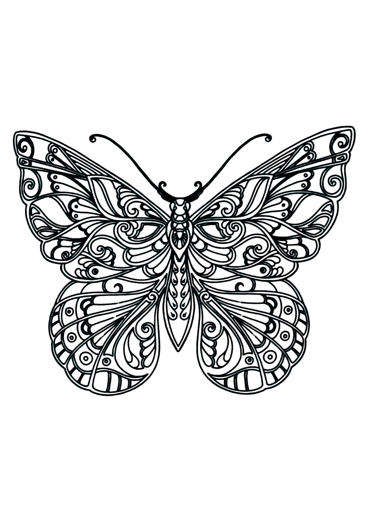 Desenho para Colorir Borboleta