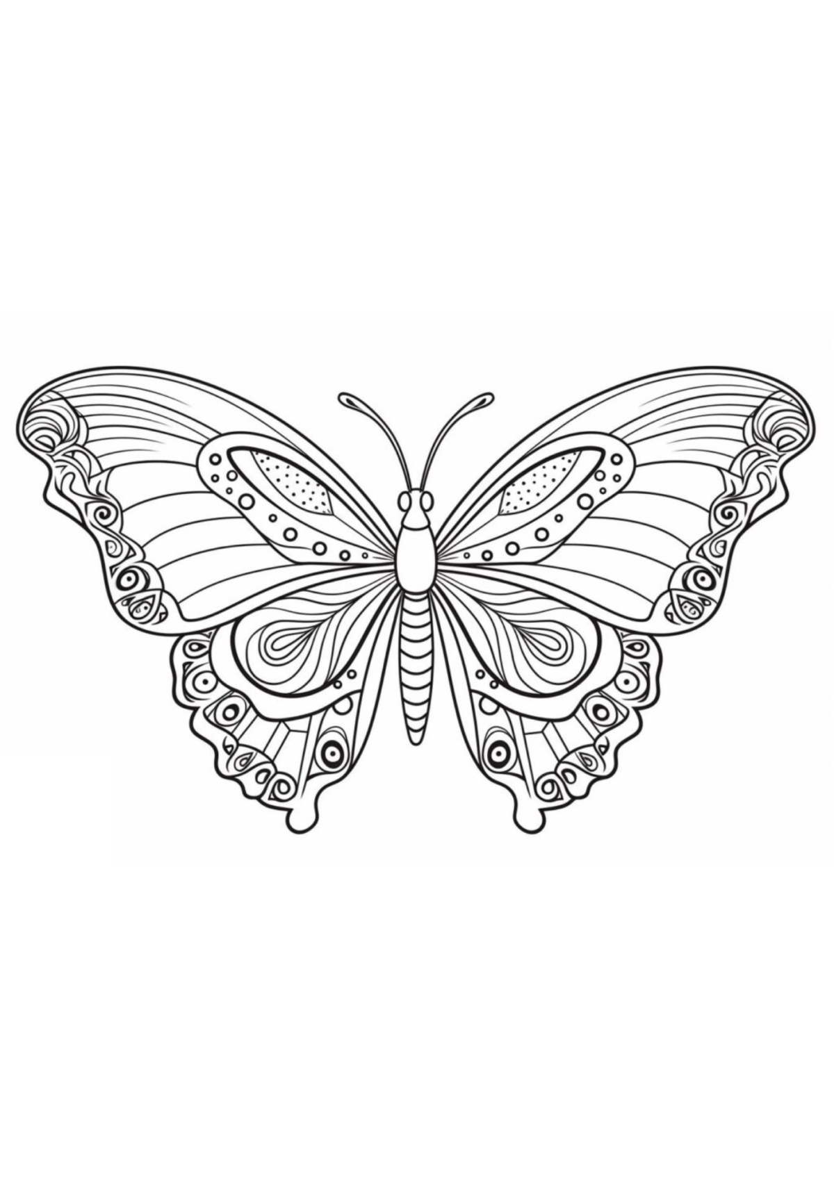 Desenho para Colorir Borboleta