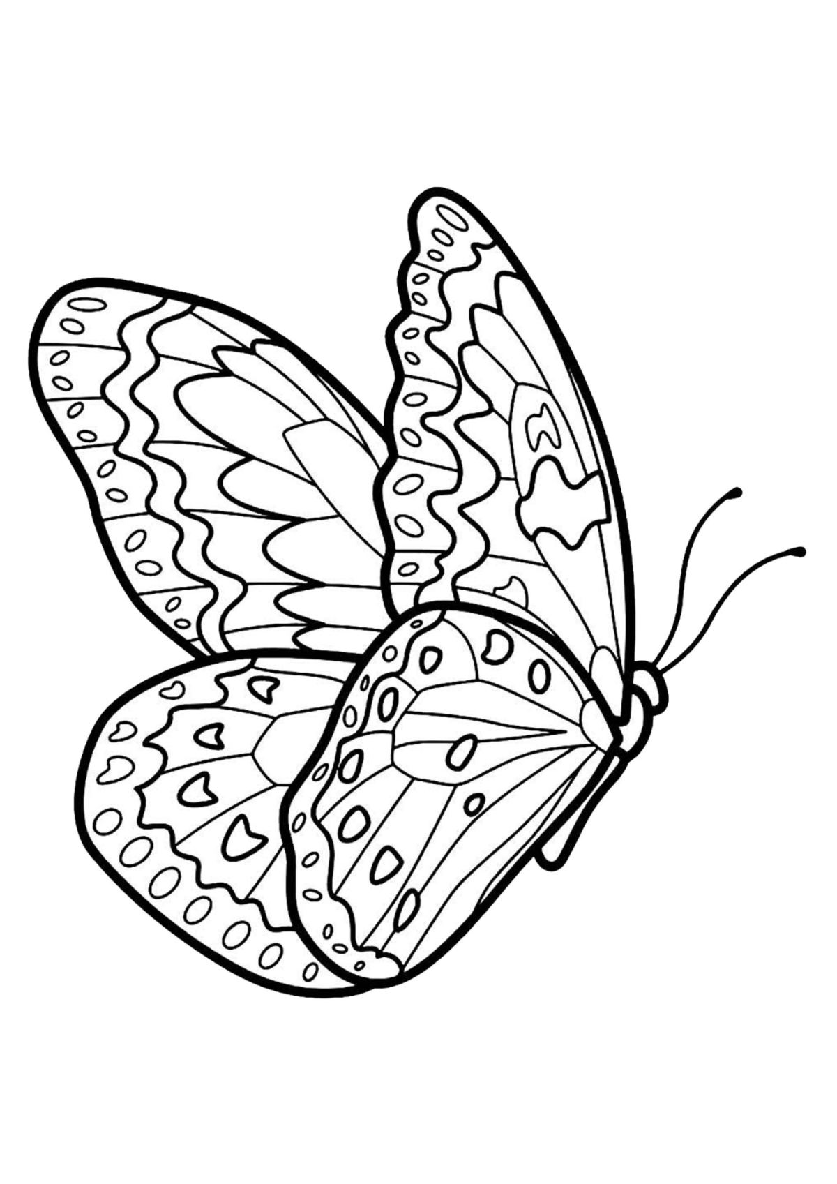 Desenho para Colorir Borboleta