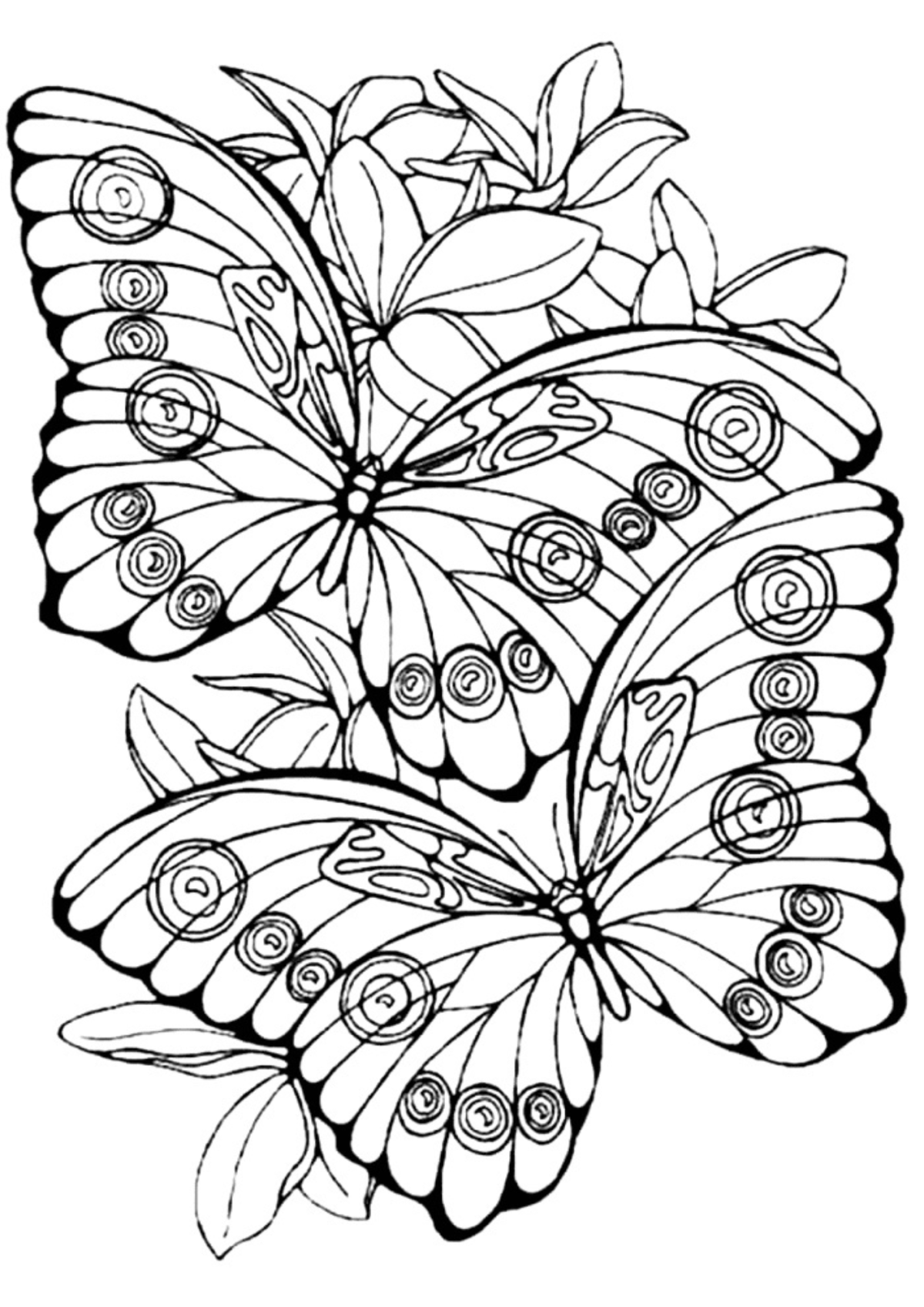 Desenho para Colorir Borboleta