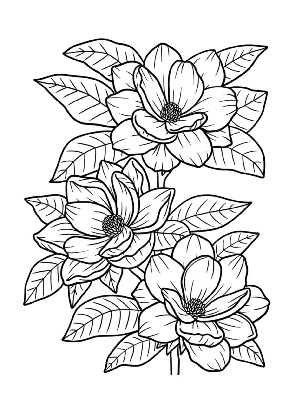 Desenho para Colorir Flores