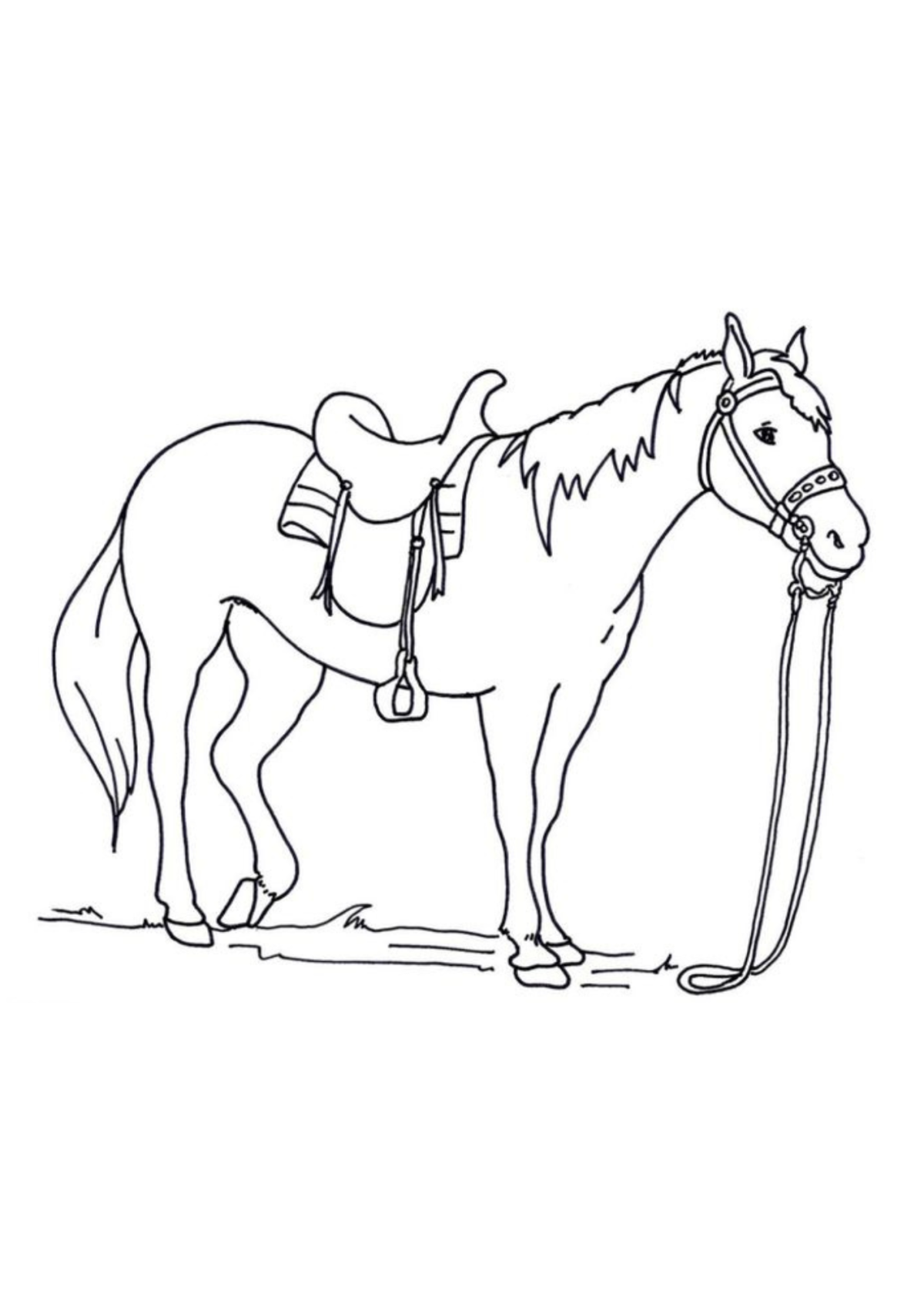 Desenhos para Colorir Cavalo