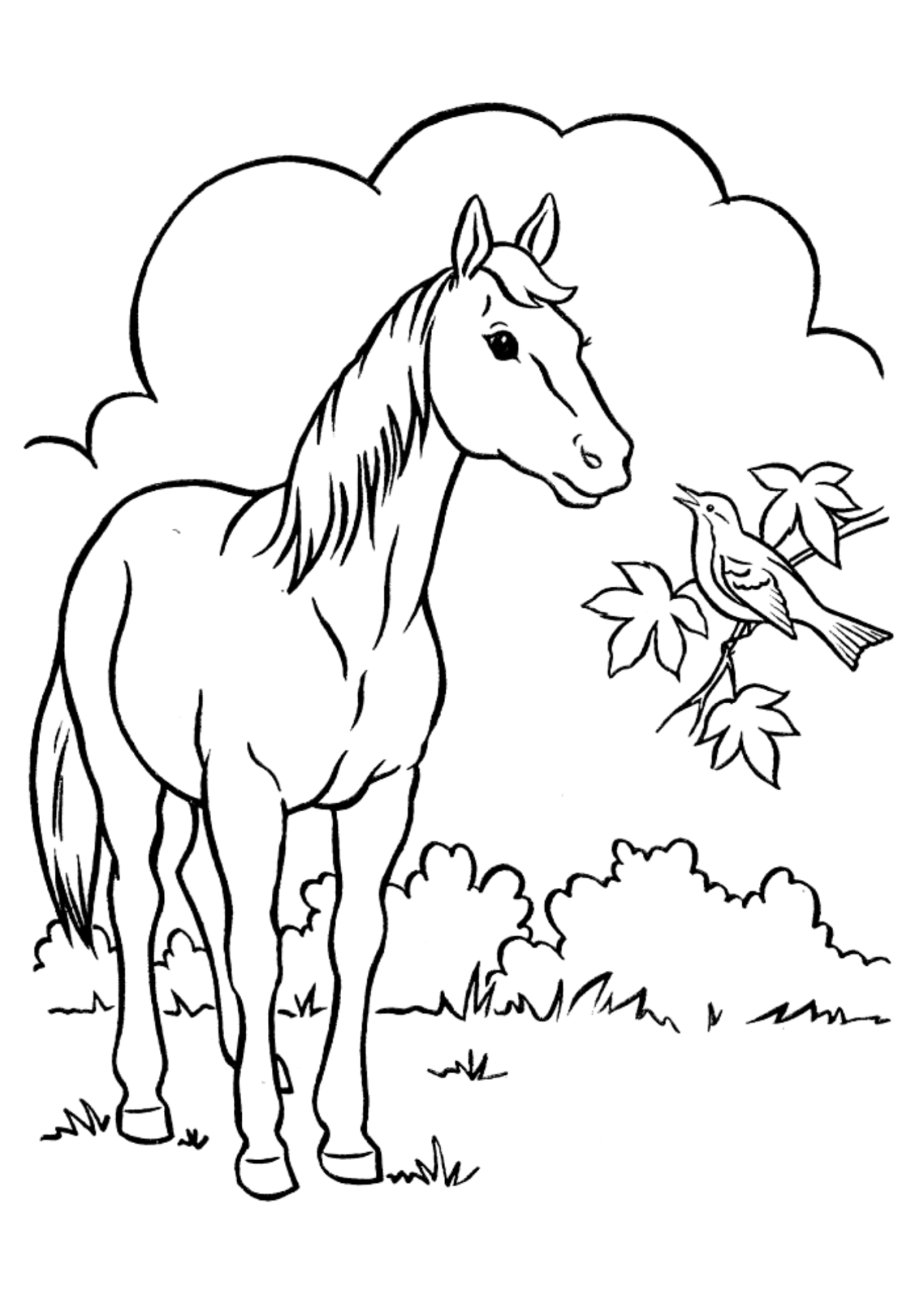 Desenhos para Colorir Cavalo