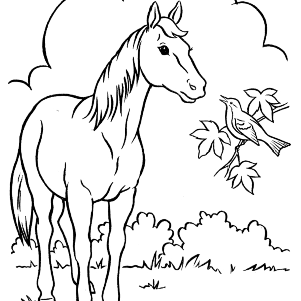 Desenhos para Colorir Cavalo