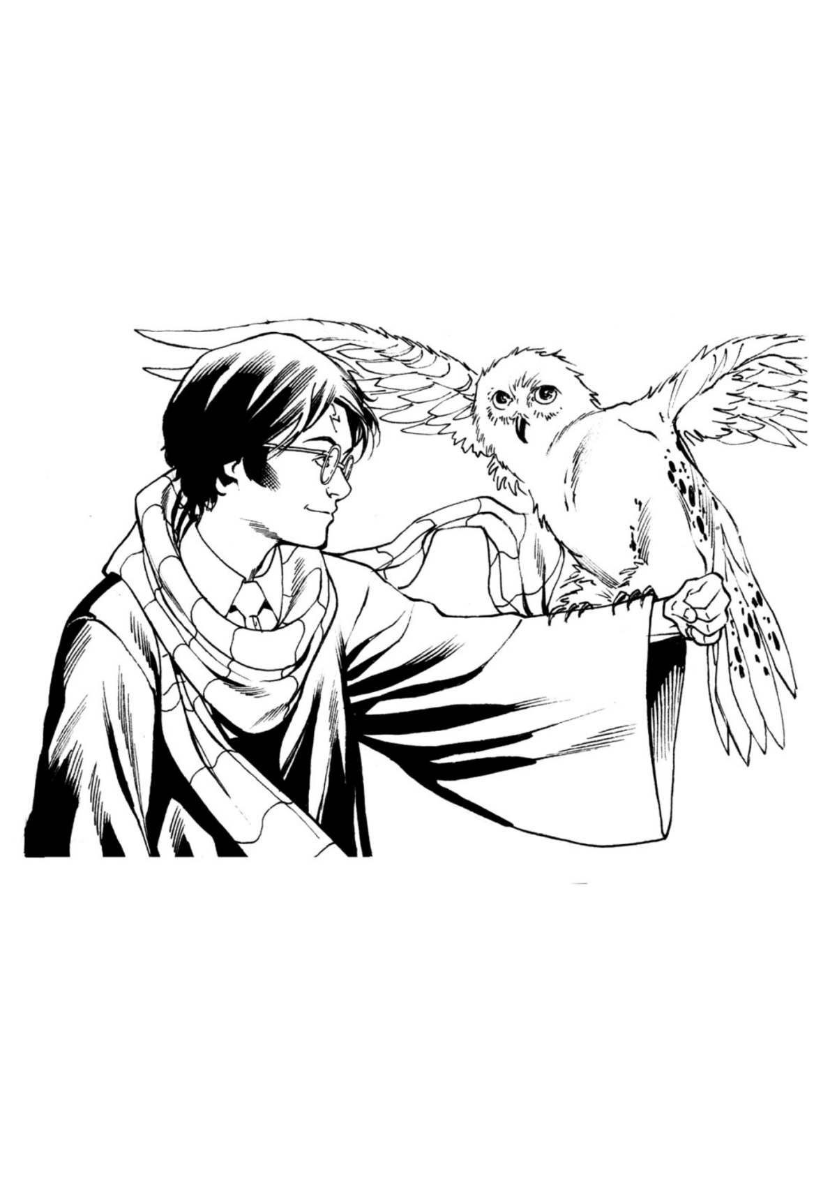 Desenhos para Colorir Harry Potter