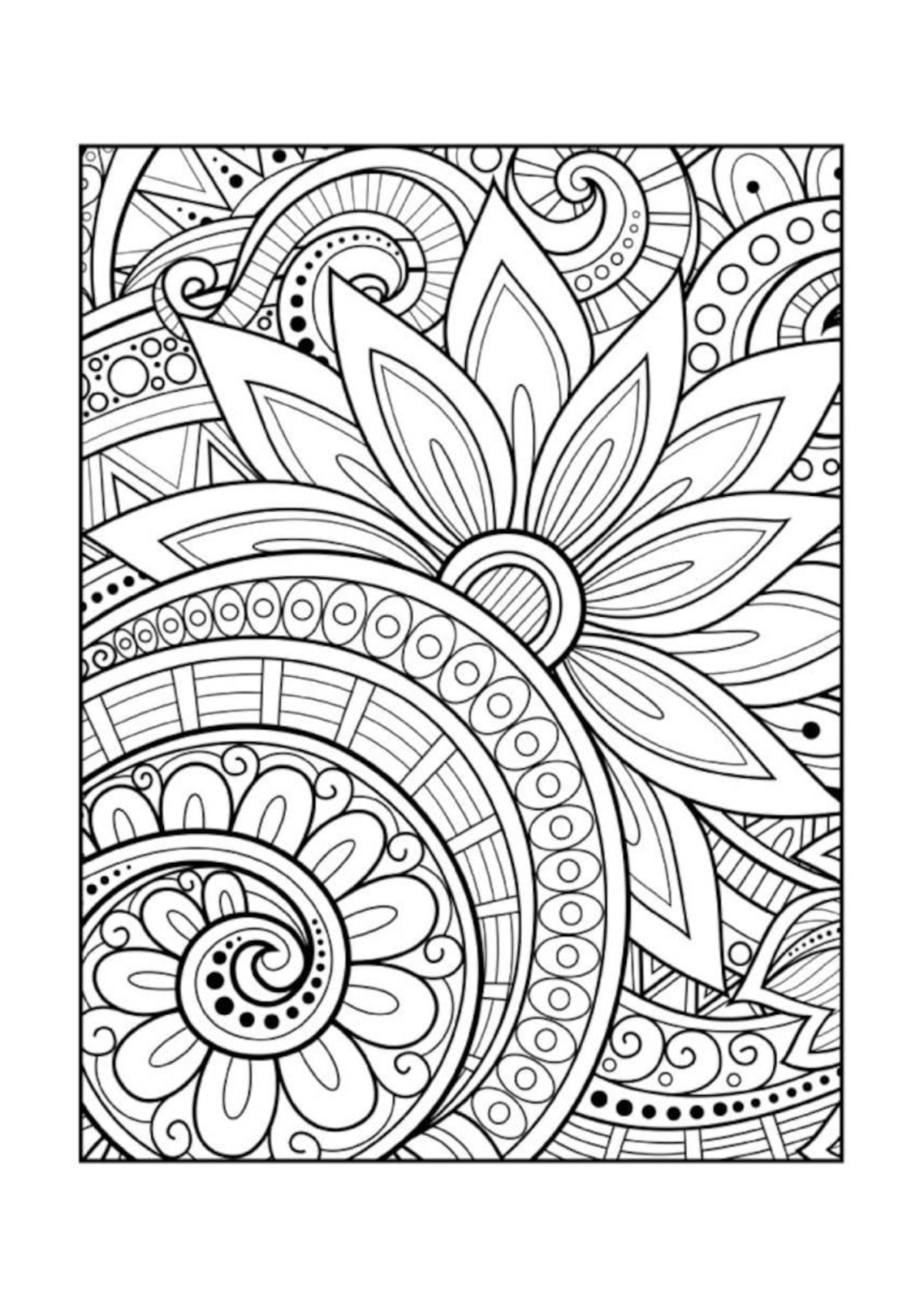 Desenho para Colorir Adulto