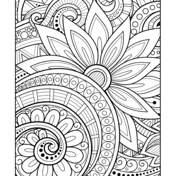 Desenho para Colorir Adulto