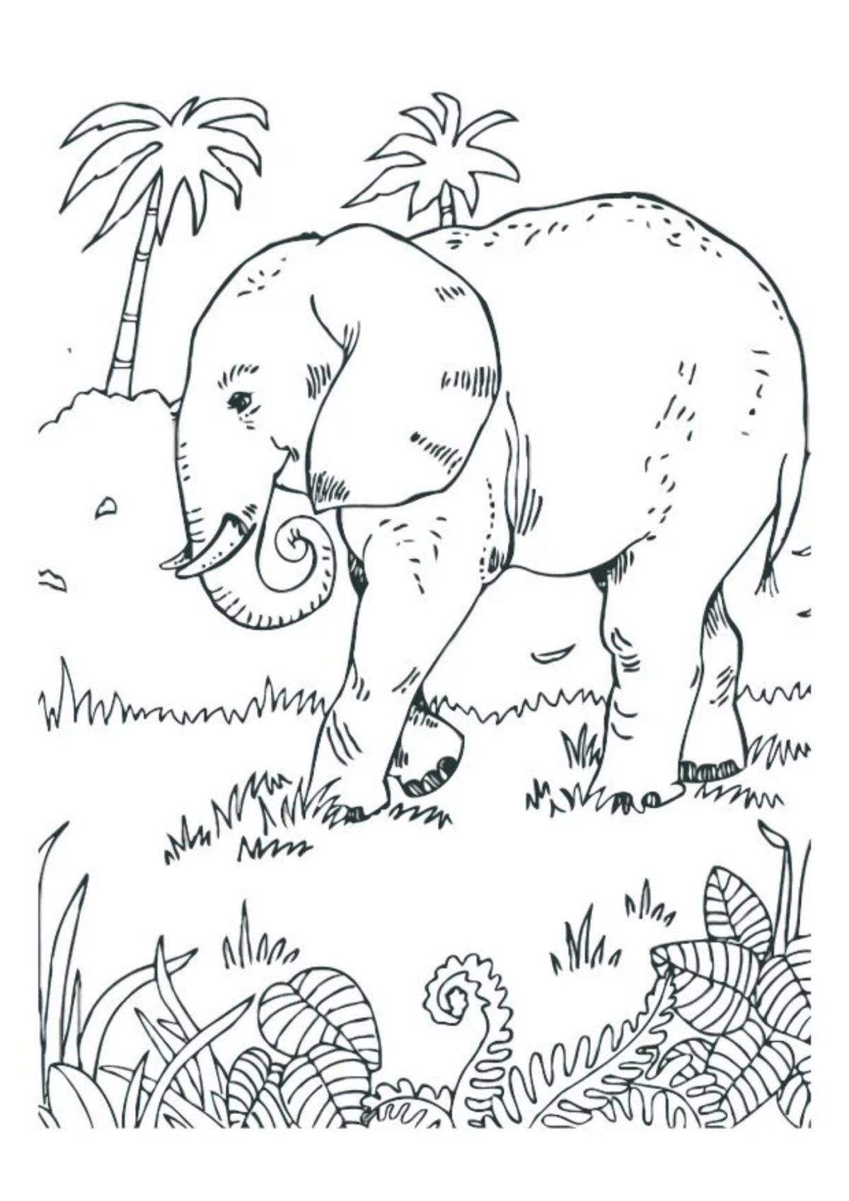 Desenho para Colorir Elefante