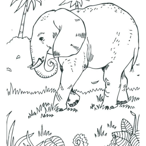 Desenho para Colorir Elefante