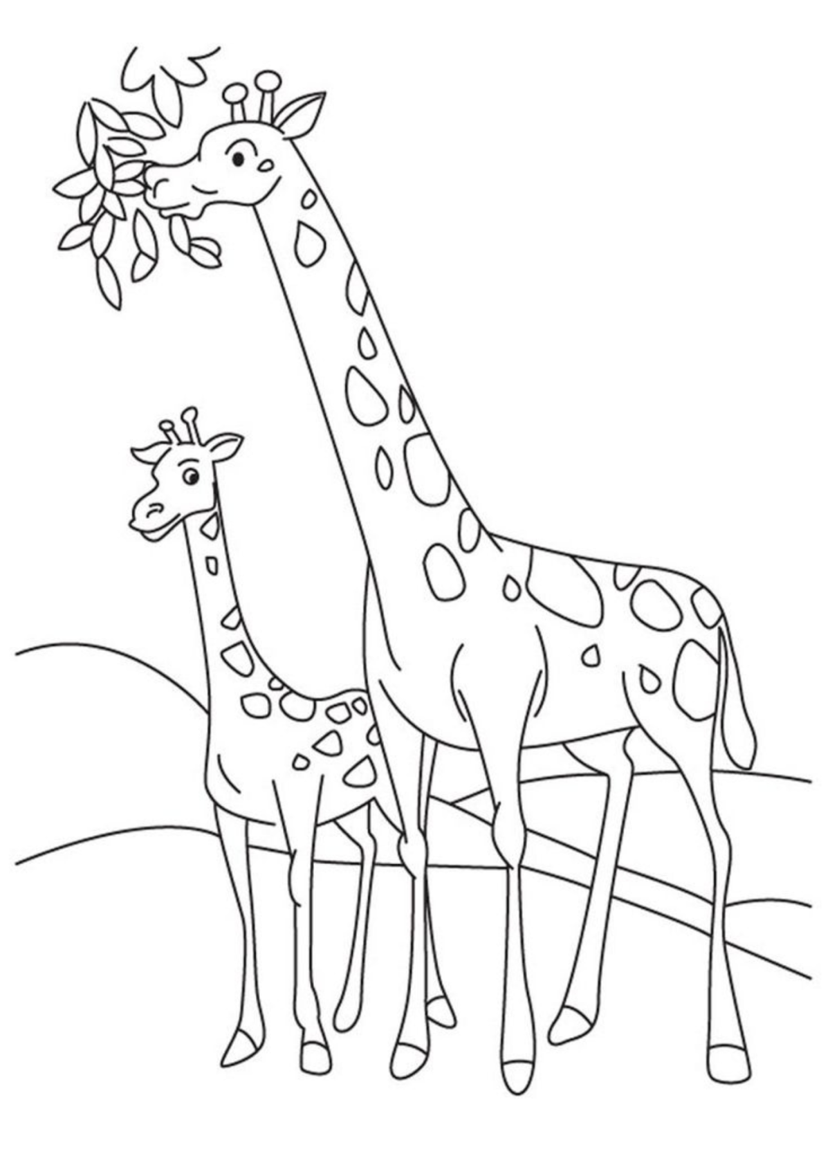 Desenho para Colorir Girafa