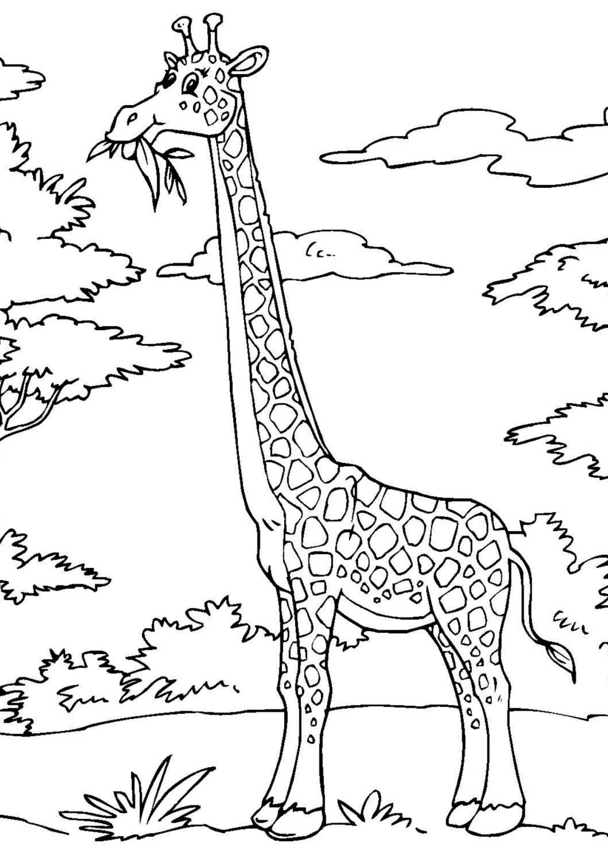 Desenho para Colorir Girafa