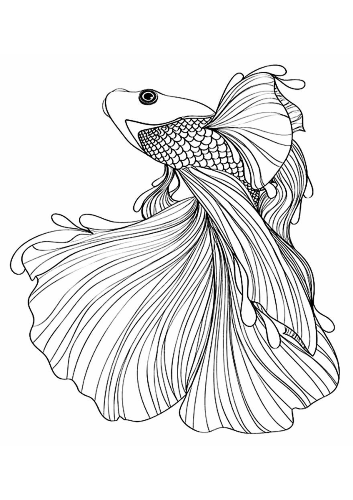 Desenho para Colorir Peixe