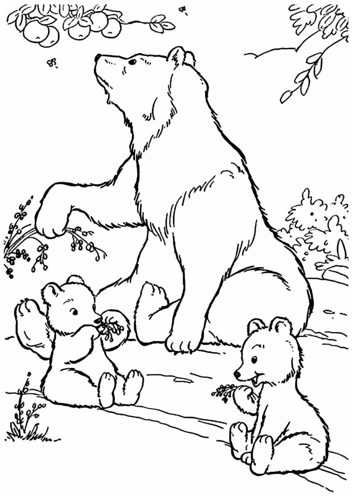 Desenho para Colorir Urso
