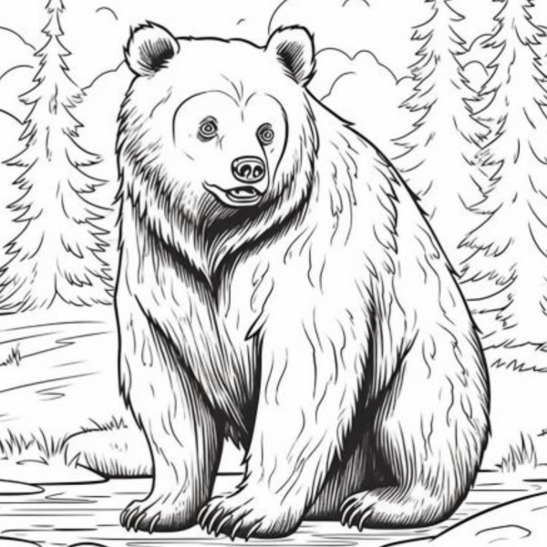 Desenho para Colorir Urso