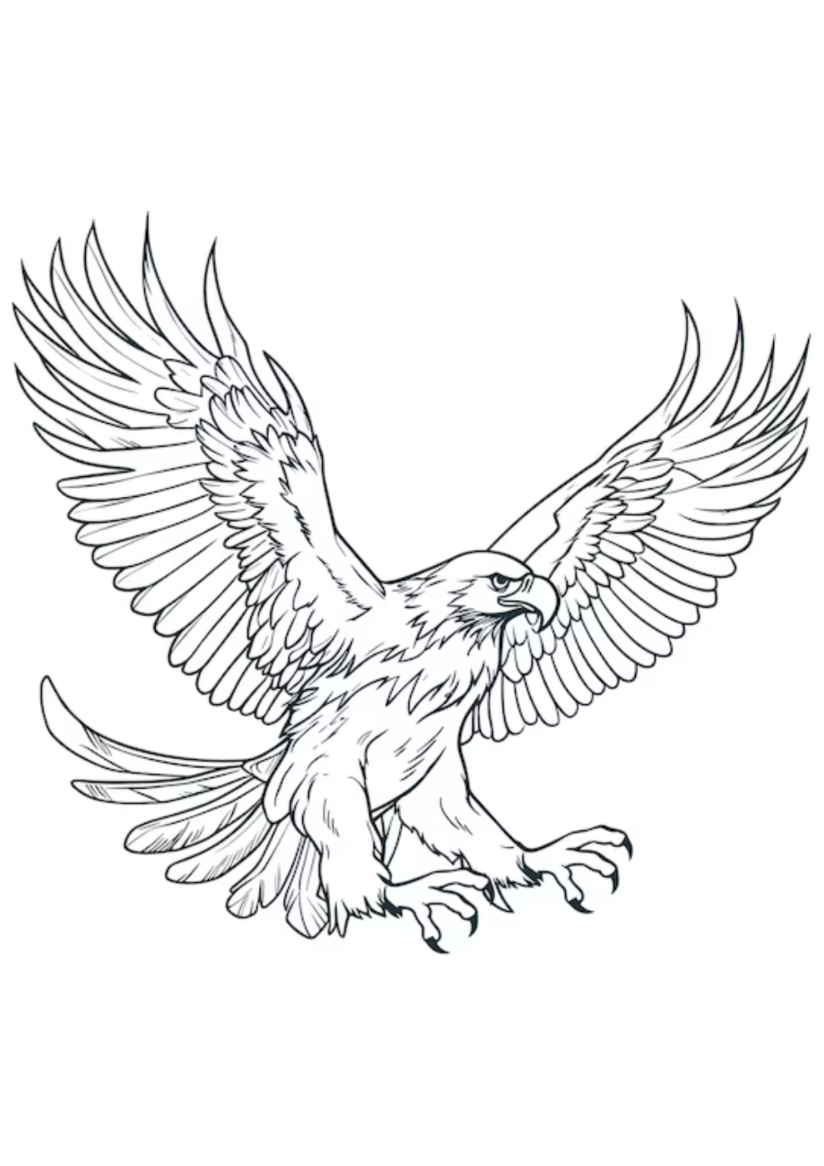 Desenho para Colorir Águia