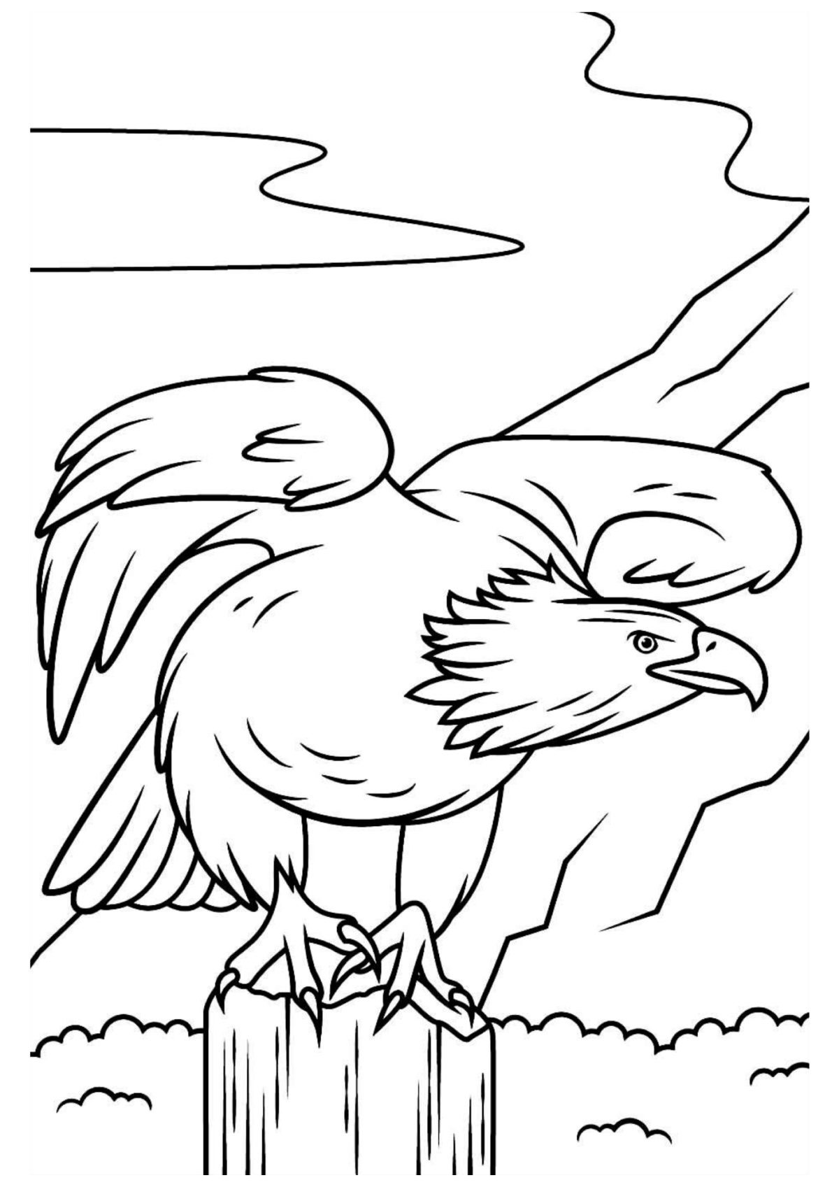Desenho para Colorir Águia