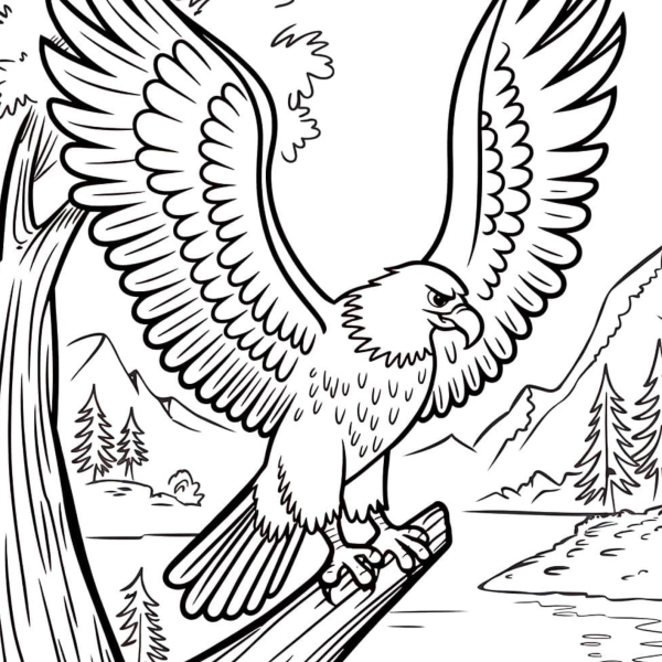 Desenho para Colorir Águia
