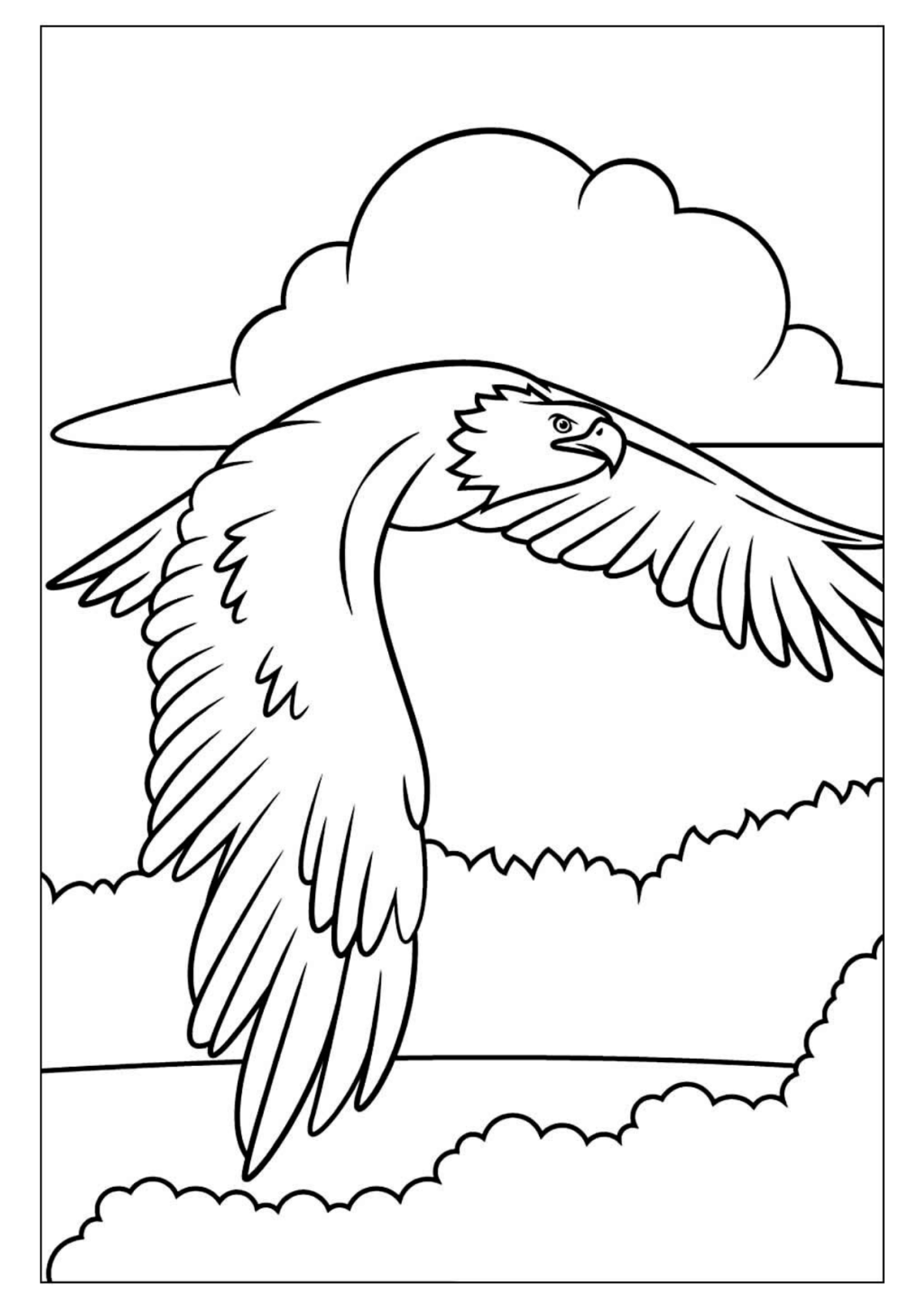 Desenho para Colorir Águia