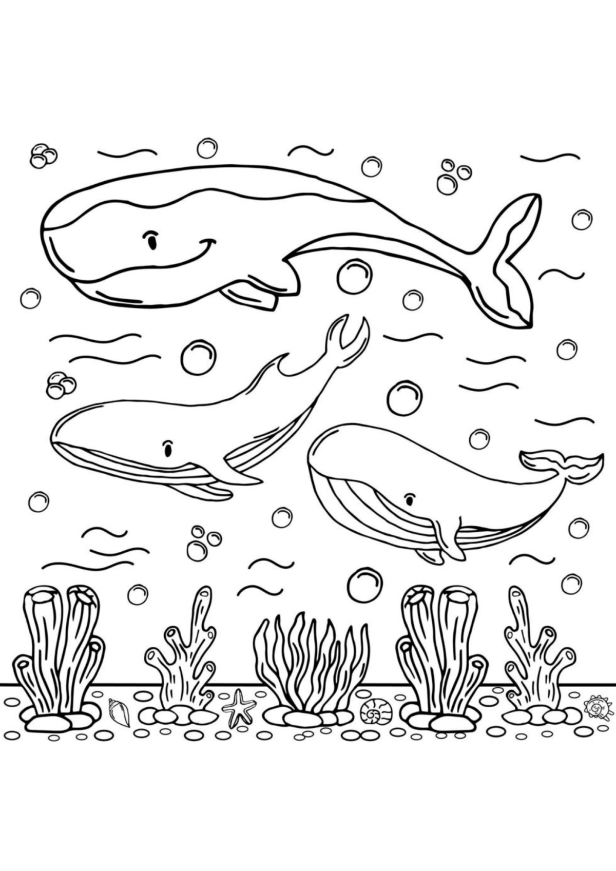 Desenho para Colorir Baleia