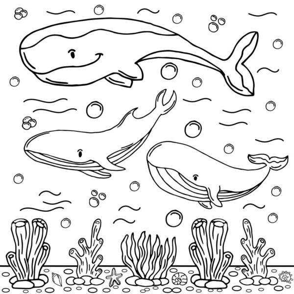 Desenho para Colorir Baleia