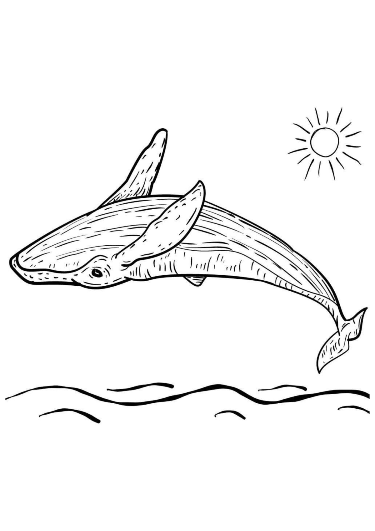 Desenho para Colorir Baleia