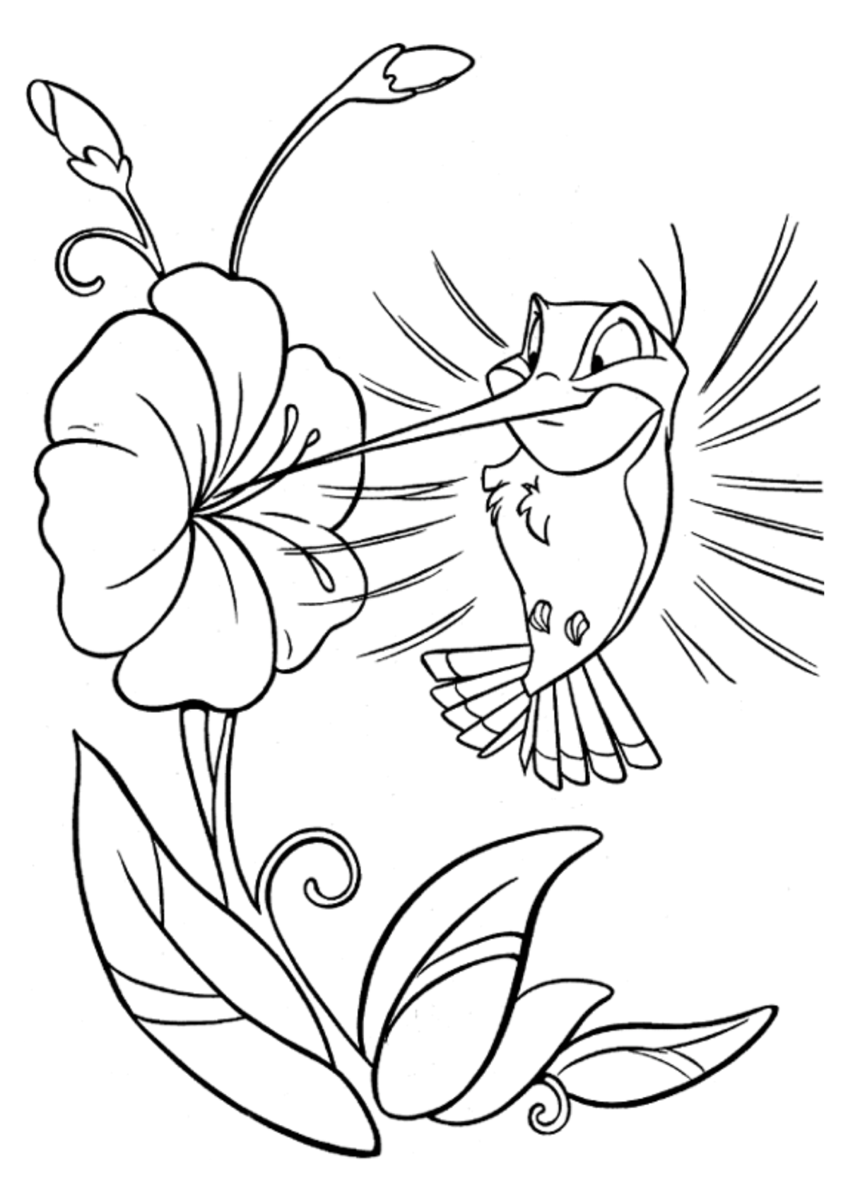 Desenho para Colorir Beija-flor