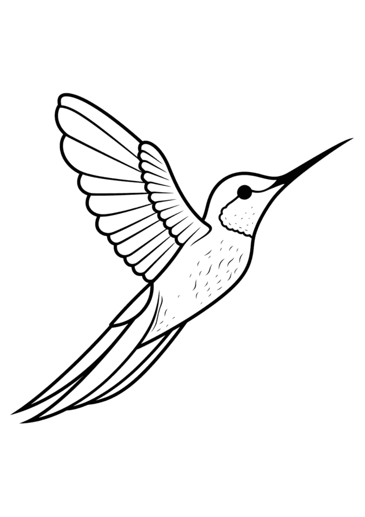 Desenho para Colorir Beija-flor