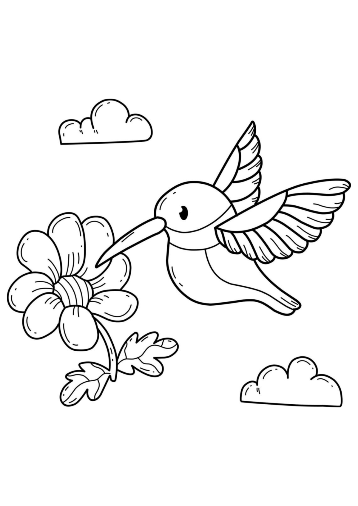 Desenho para Colorir Beija-flor