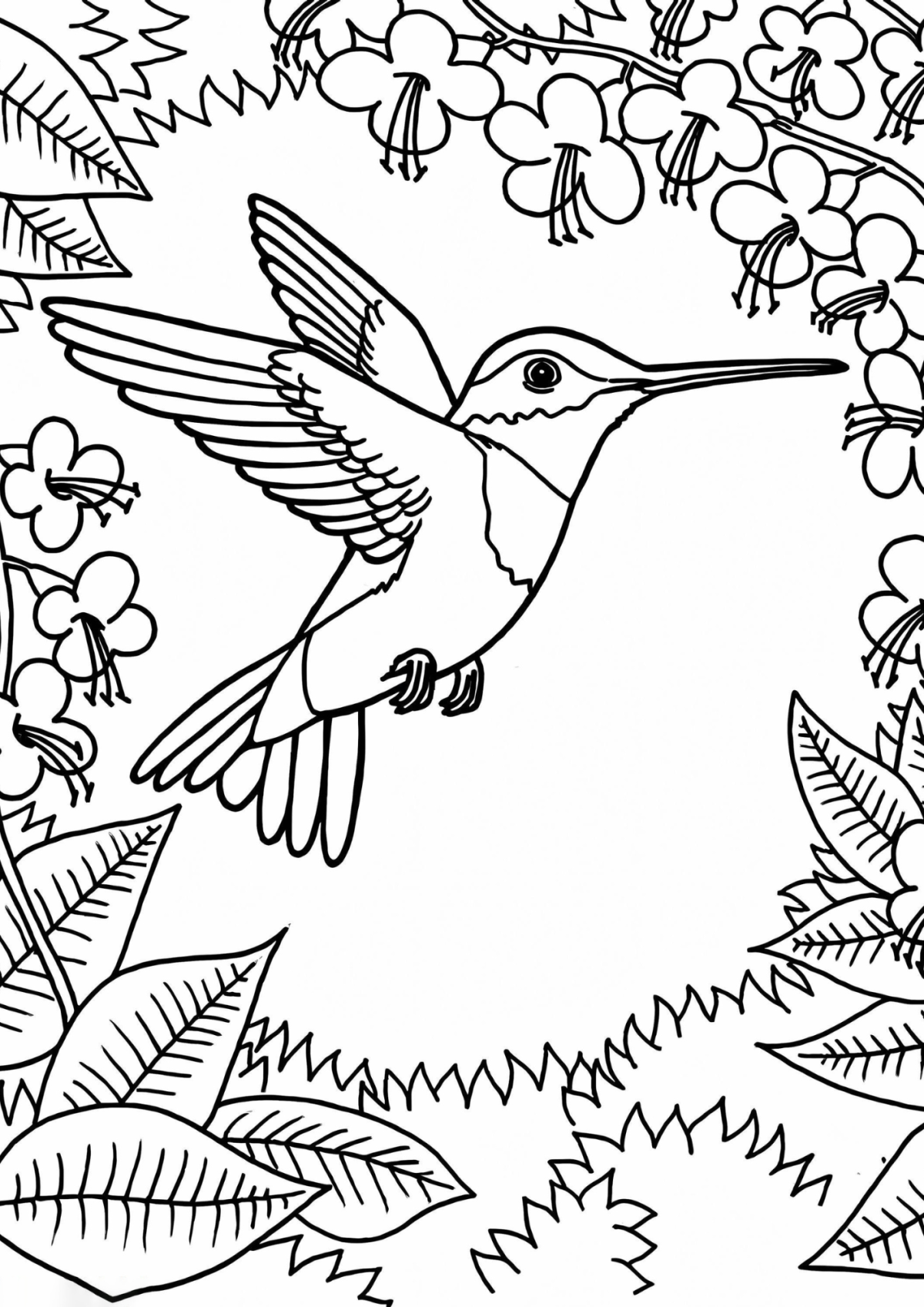 Desenho para Colorir Beija-flor