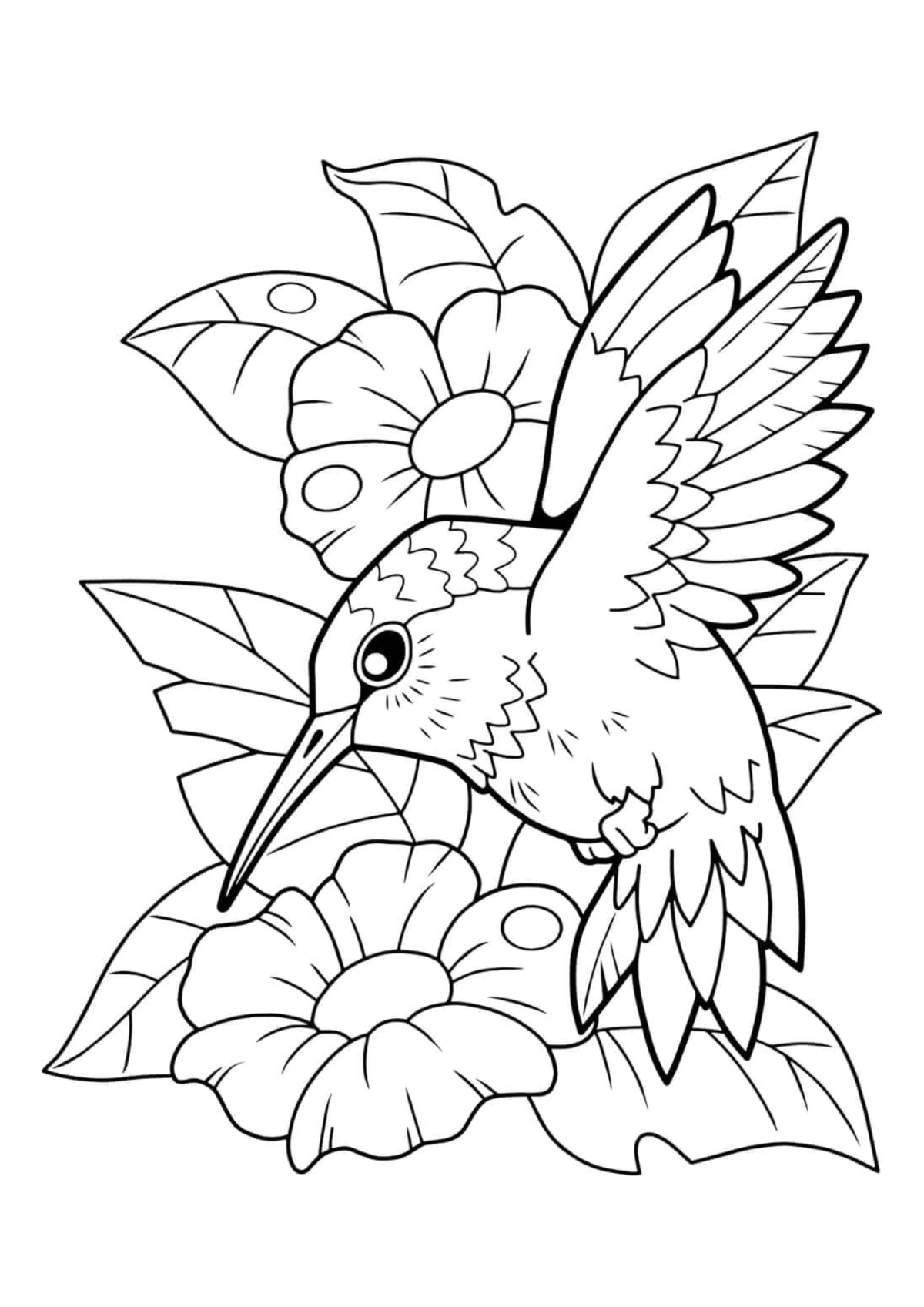 Desenho para Colorir Beija-flor