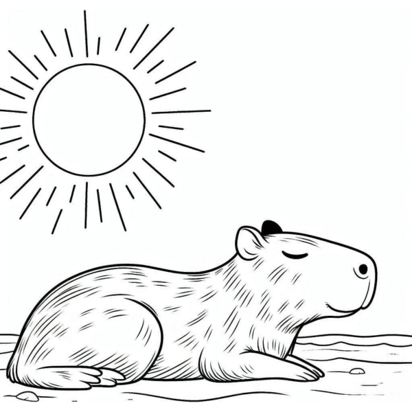 Desenho para Colorir Capivara