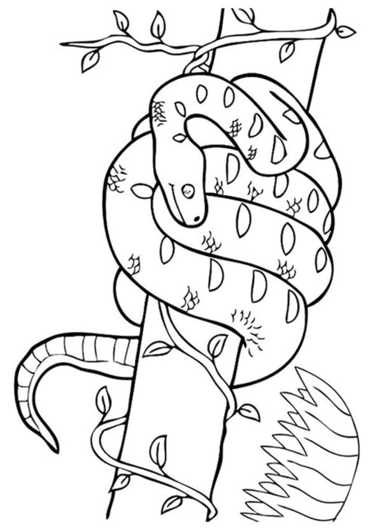 Desenho para Colorir Cobra