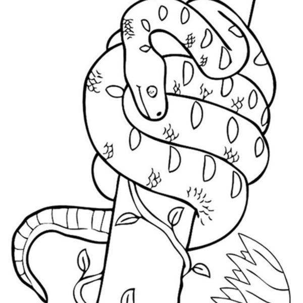 Desenho para Colorir Cobra