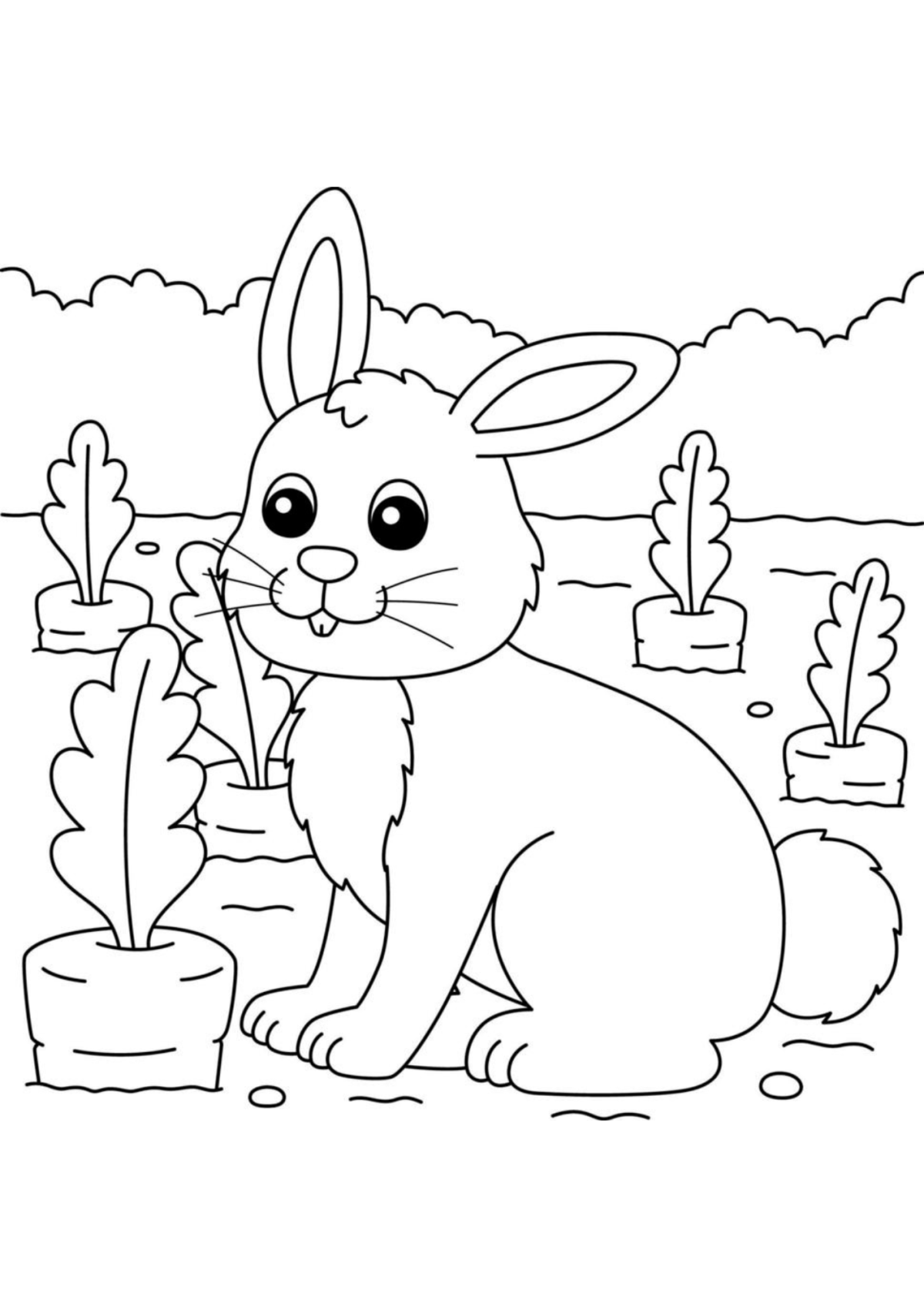 Desenho para Colorir Coelho
