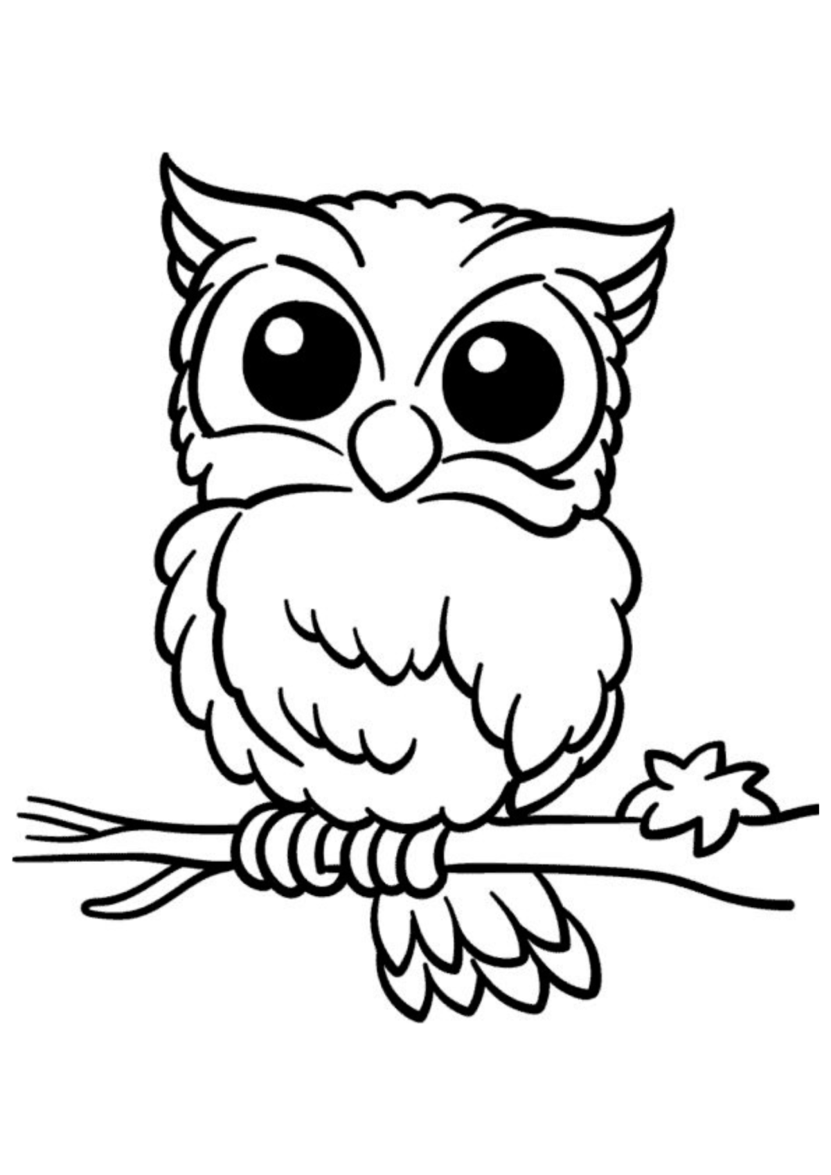 Desenho para Colorir Coruja