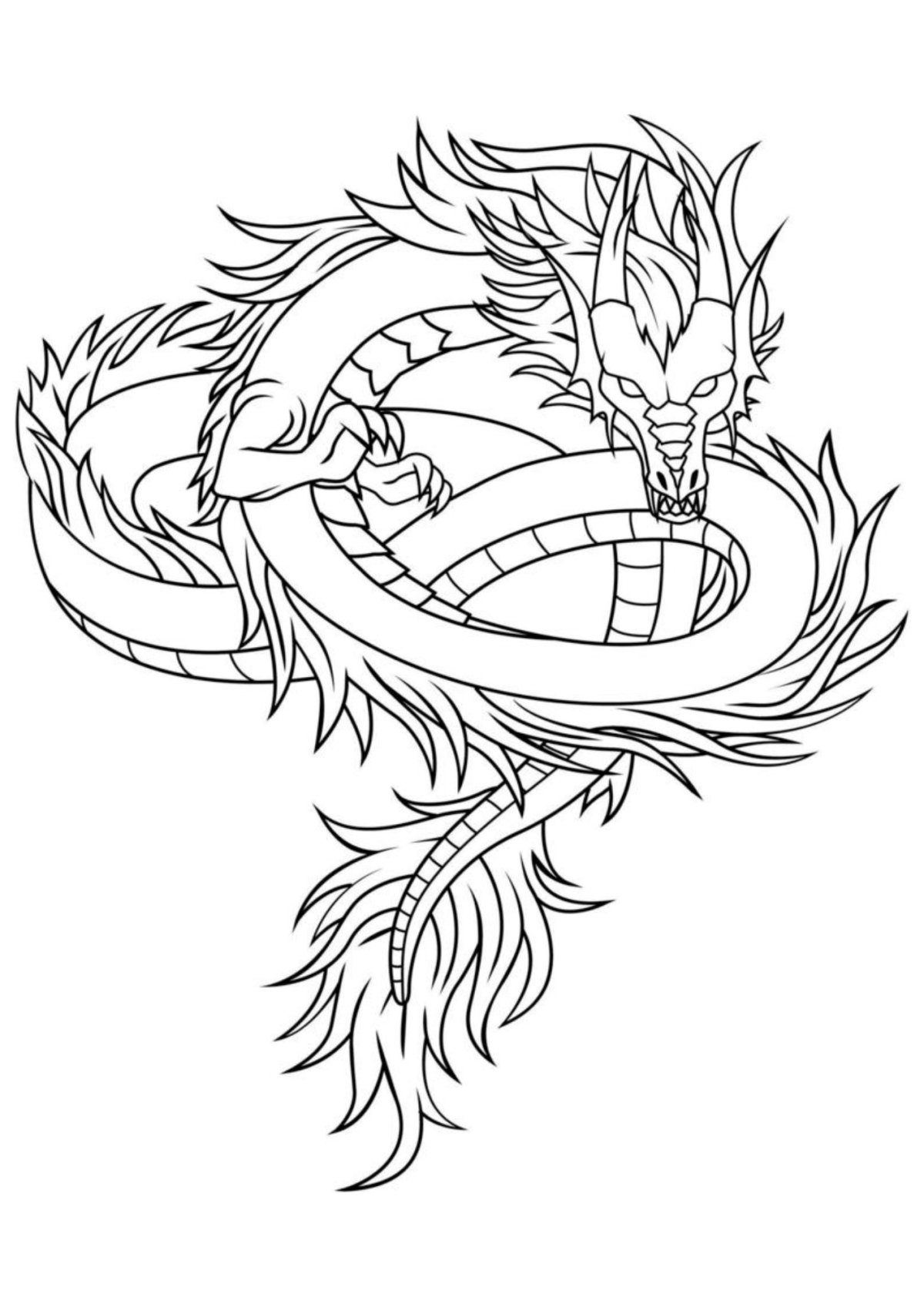 Desenho para Colorir Dragão