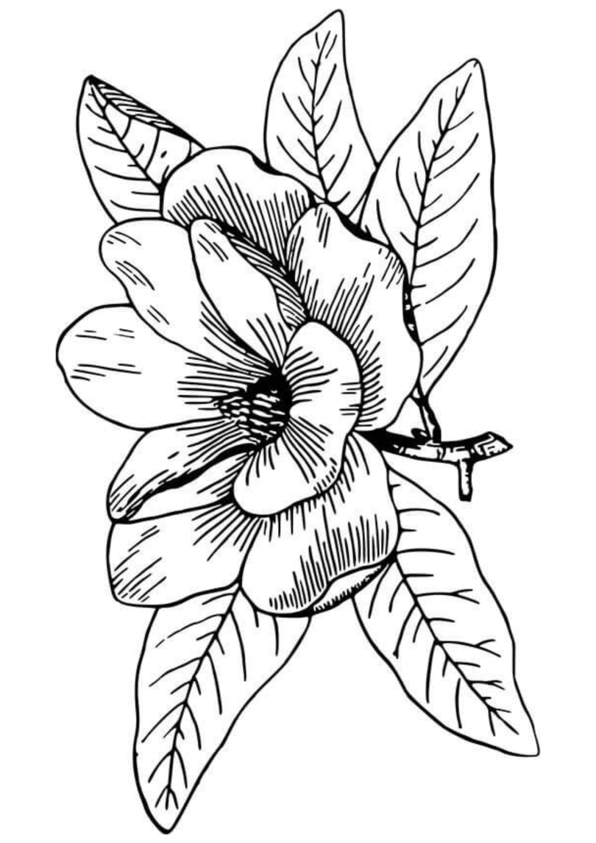 Desenho para Colorir Flor
