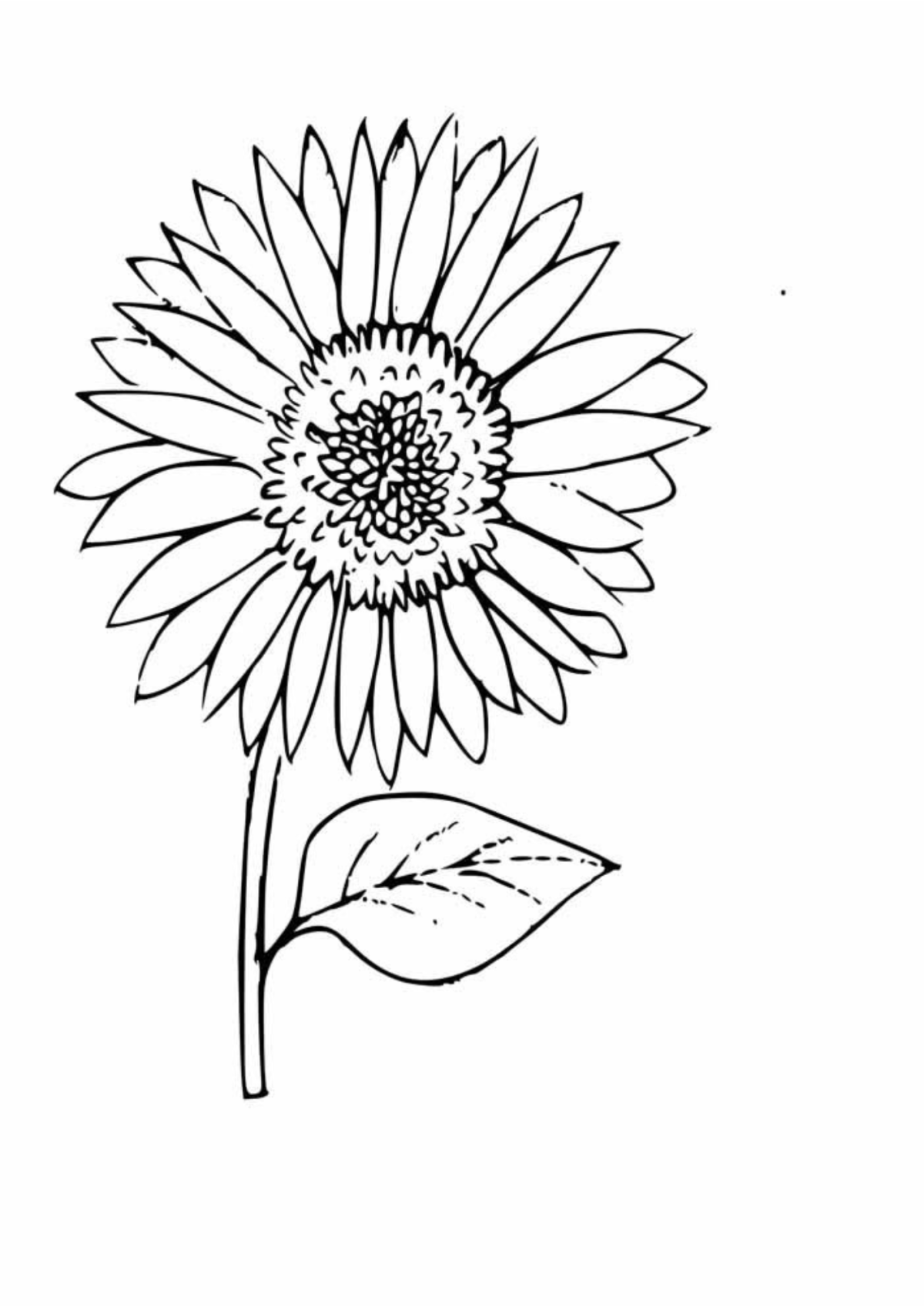Desenho para Colorir Girassol