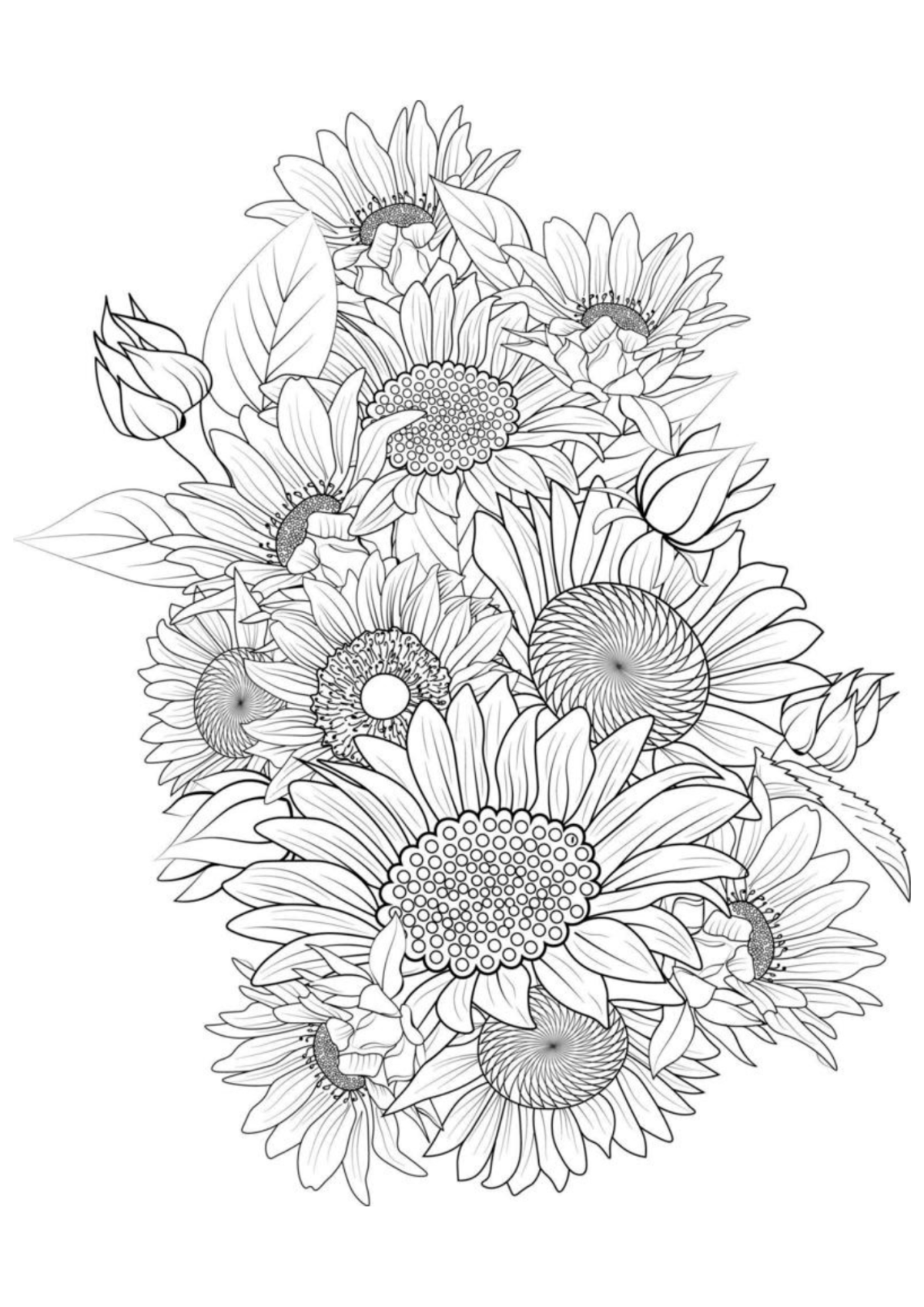 Desenho para Colorir Girassol