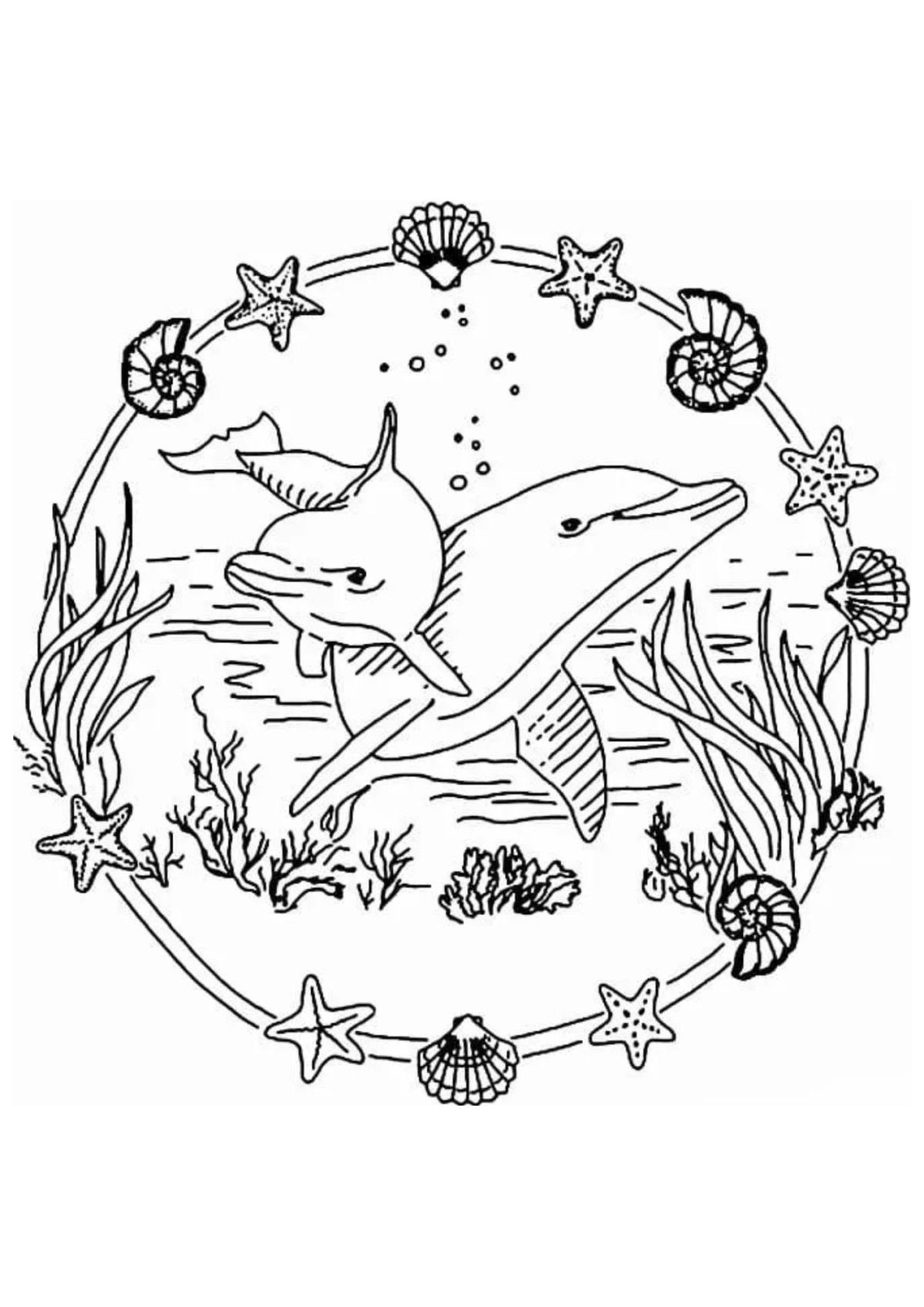 Desenho para Colorir Golfinho