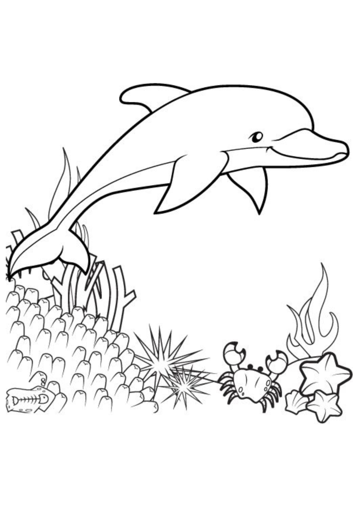 Desenho para Colorir Golfinho