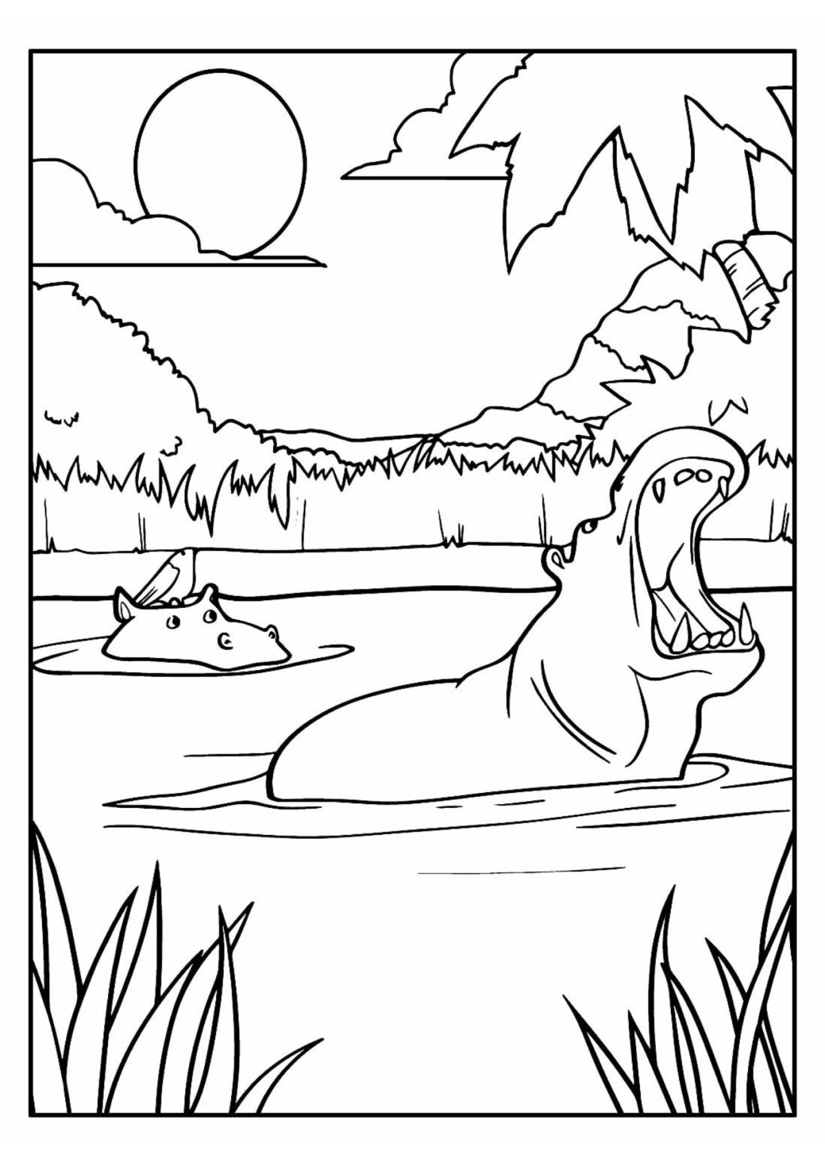 Desenho para Colorir Hipopótamo