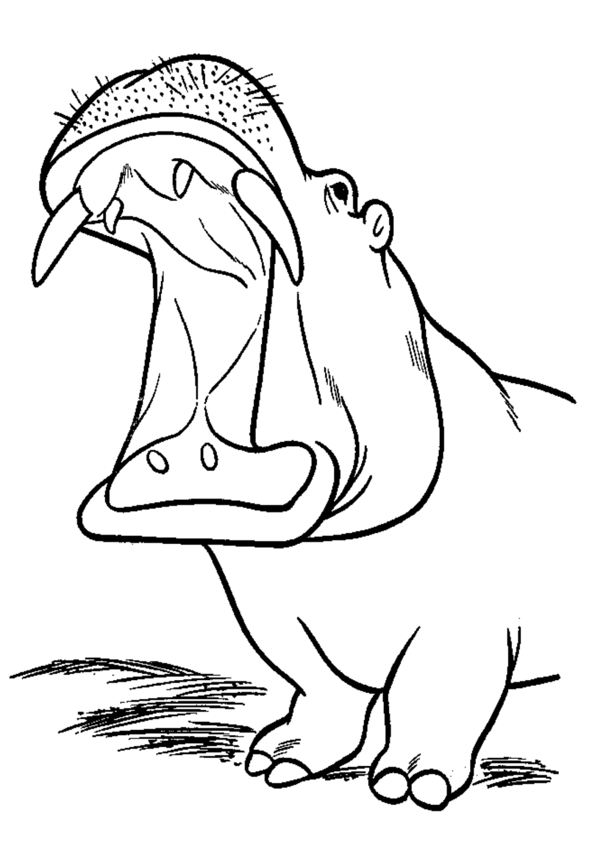 Desenho para Colorir Hipopótamo