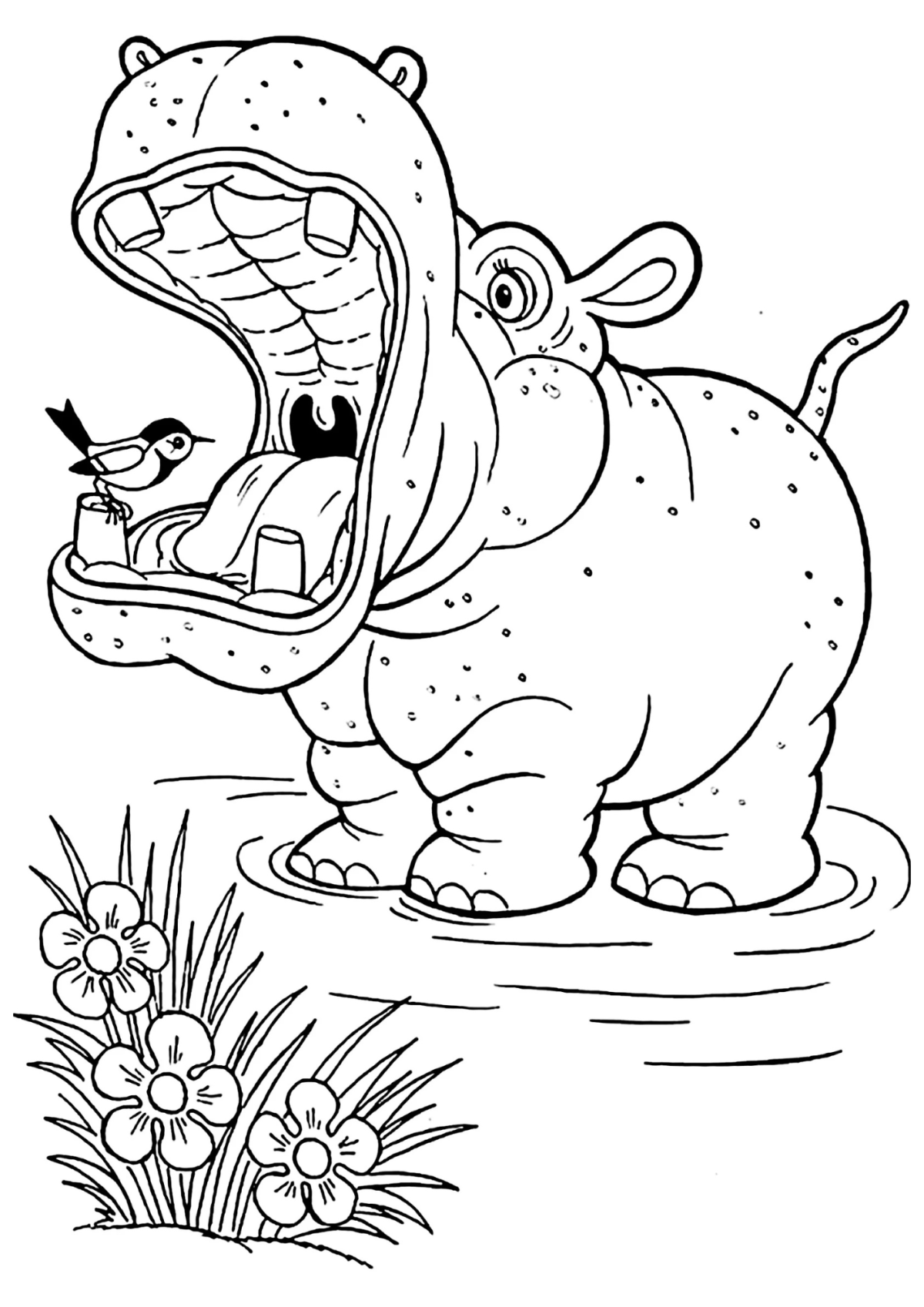 Desenho para Colorir Hipopótamo