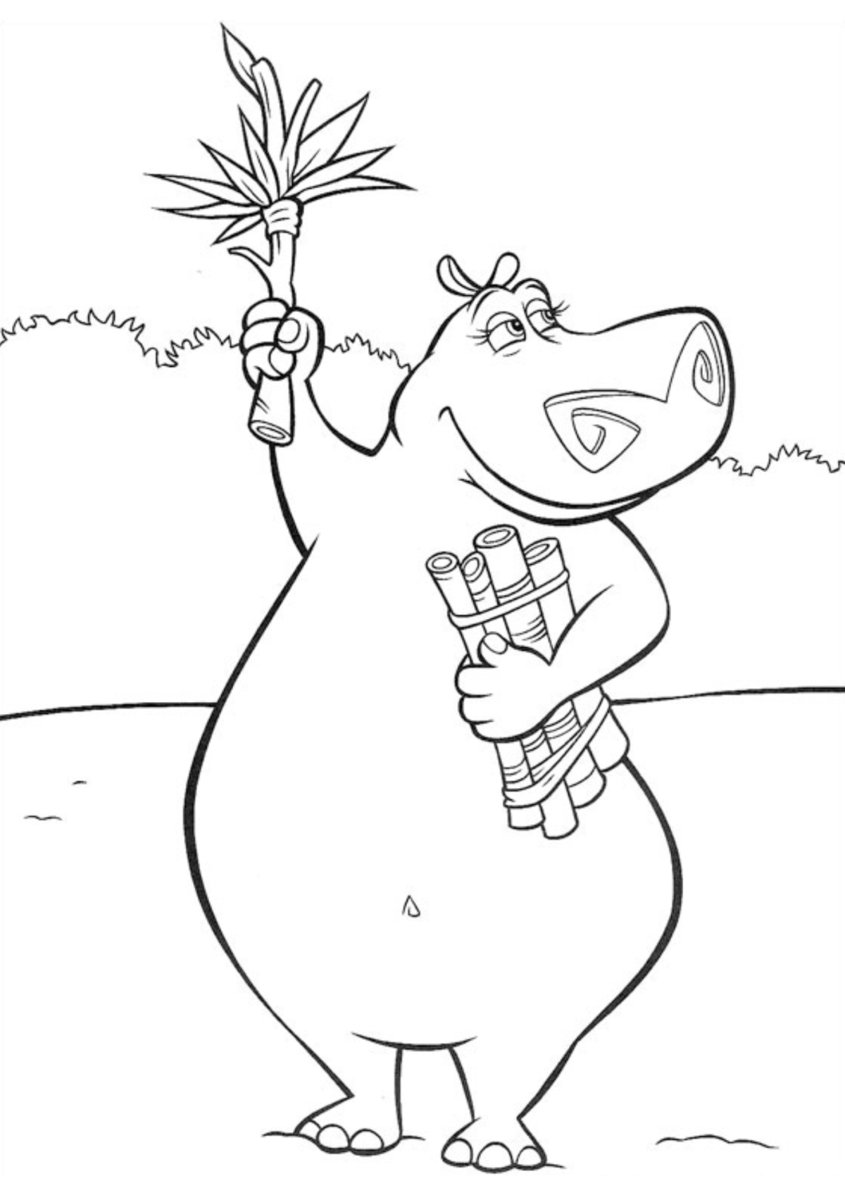 Desenho para Colorir Hipopótamo