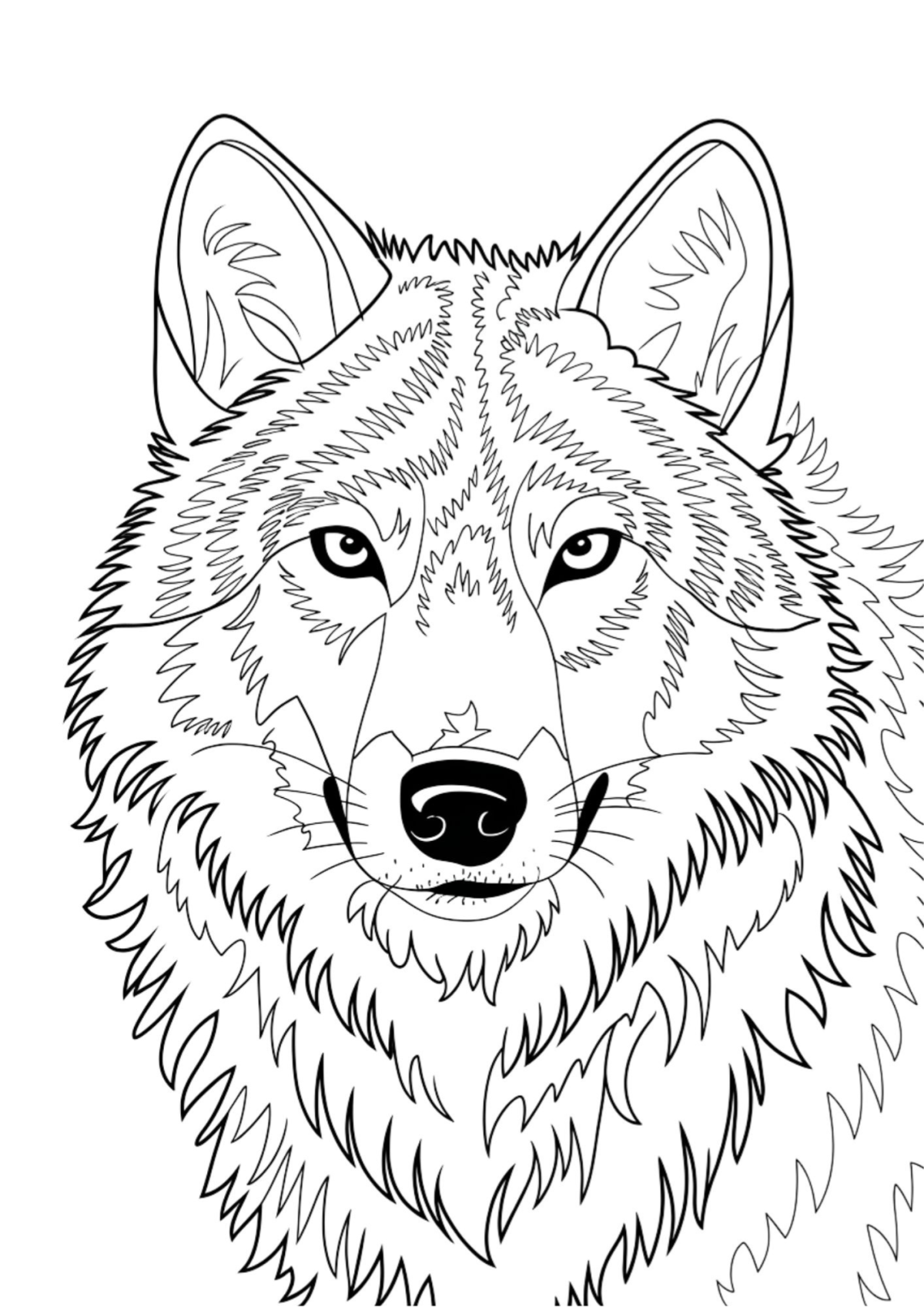 Desenho para Colorir Lobo