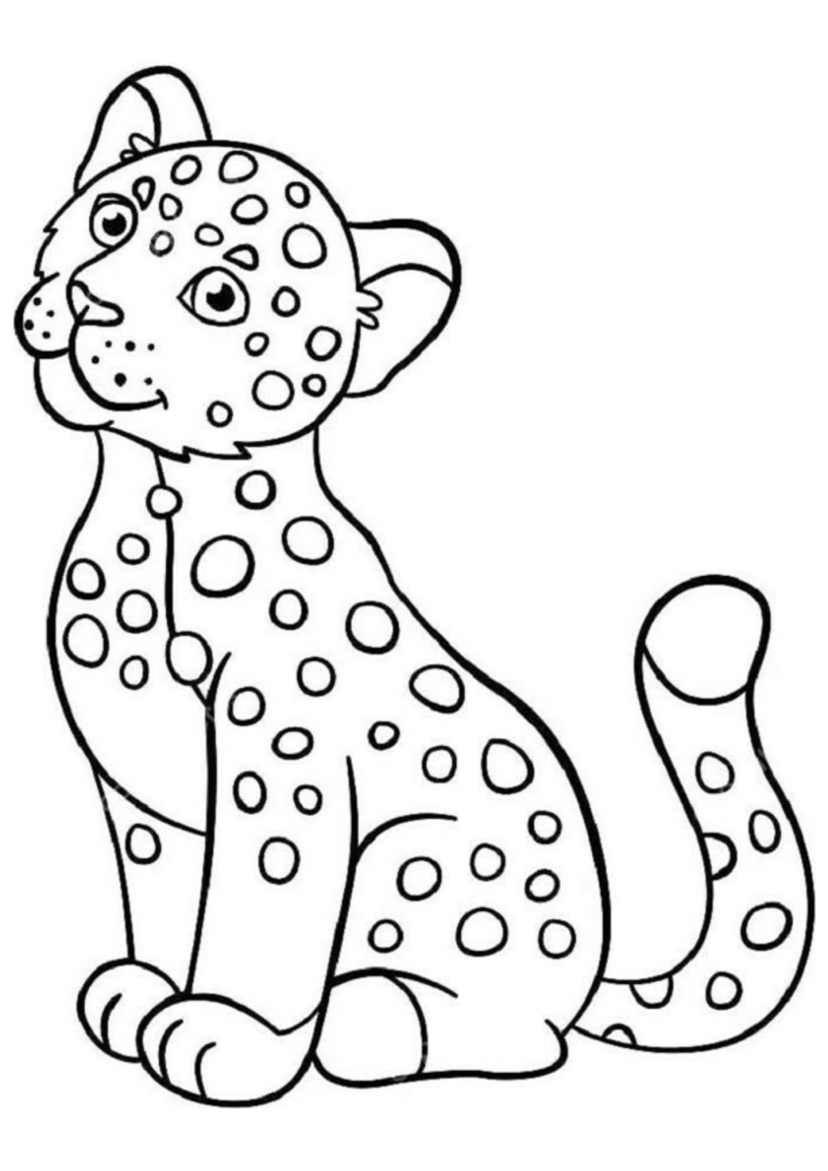 Desenho para Colorir Onça